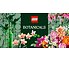 Lego Botanicals