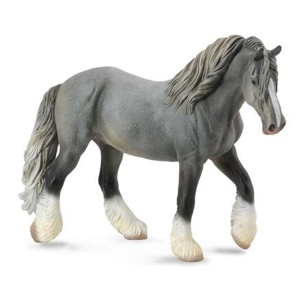 Shirský kůň - šedá klisna