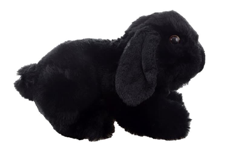 Plyš králík černý 22 cm ECO-FRIENDLY