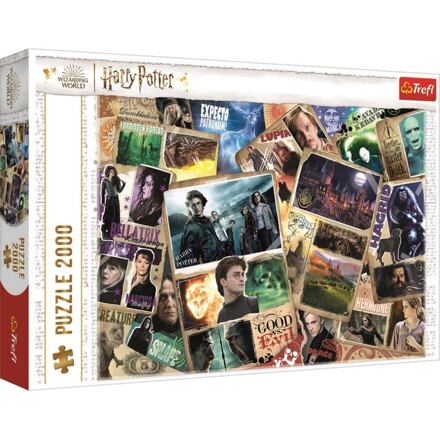 Puzzle Harry Potter: Postavy