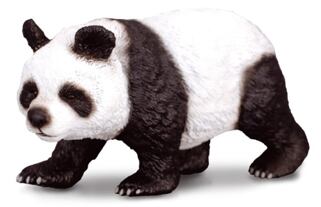 Panda velká