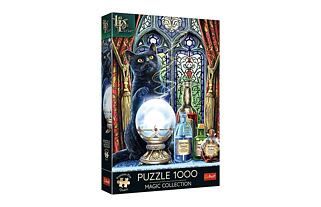 Puzzle Magic Collection: Čarodějnický učeň 1000 dílků 48x68,3cm v krabici 27x40x6cm