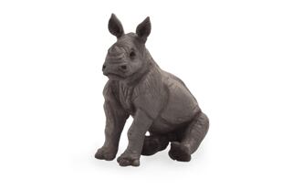 Mojo Nosorožec mládě sedící