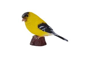 Mojo Čížek žlutý