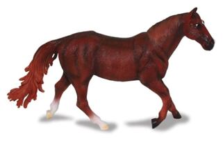 Quarter horse ryzák