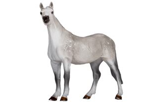 Mojo Orlovský klusák