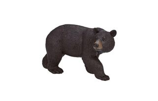 Mojo Medvěd baribal