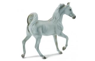 Arabská klisna šedá