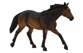 Mojo Quarter horse hnědák