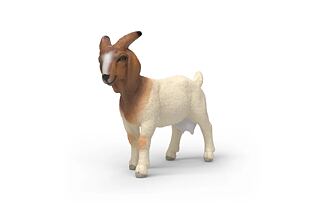 Schleich 14929 Burská koza