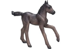 Mojo Arabské hříbě černé