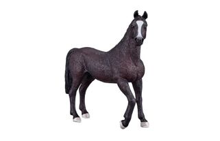 Mojo Arabský hřebec černý