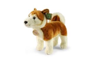 Rappa Plyšový pes akita inu 30 cm ECO-FRIENDLY