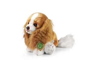 Rappa Plyšový pes kavalír King Charles španěl 28 cm ECO-FRIENDLY