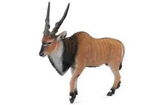 Sammelantilope Eland