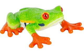 Mojo Listovnice červenooká