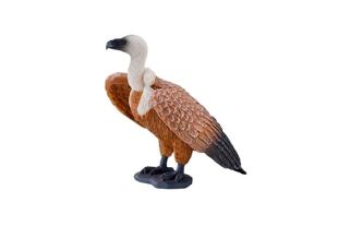 Mojo Sup bělohlavý hnědý