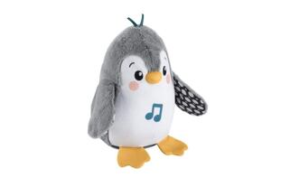 Fisher-Price® WELLENDE UND SCHWINGENDE ENTE