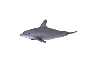 Mojo Delfín skákavý