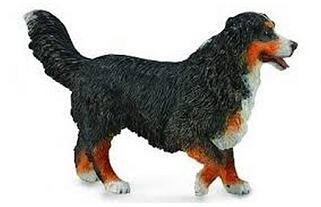 COLLECTA Bernský salašnický pes