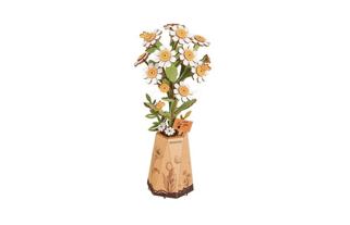 RoboTime 3D Holzpuzzle Kamille