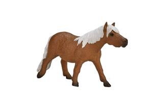 Mojo Shetlandský pony