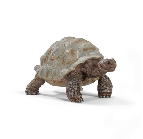 Schleich 14824 Želva obrovská
