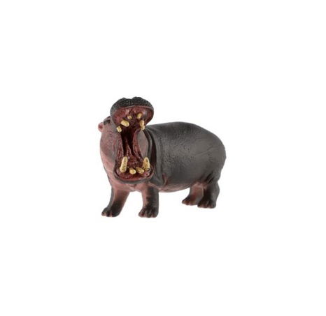 Hroch obojživelný zooted