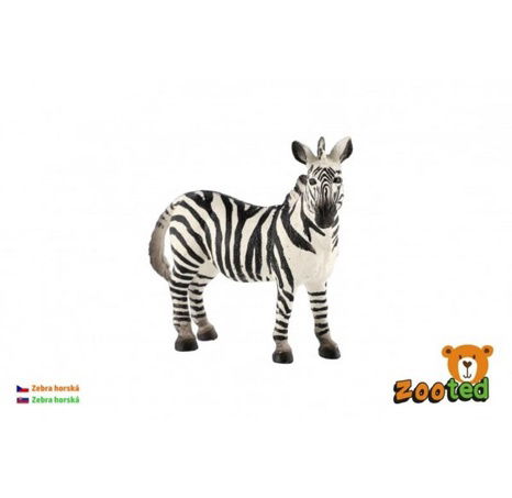 Zebraberg zooted