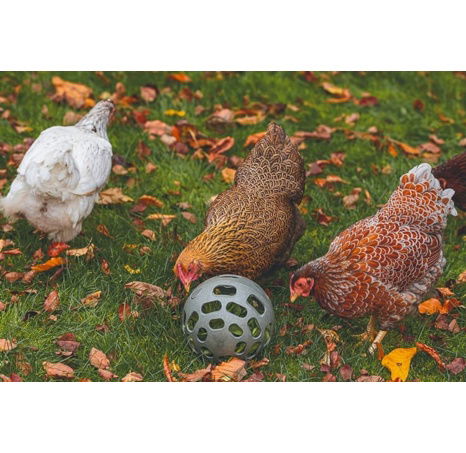 Beeztees Snackball Krmítko pro drůbež šedé 15cm