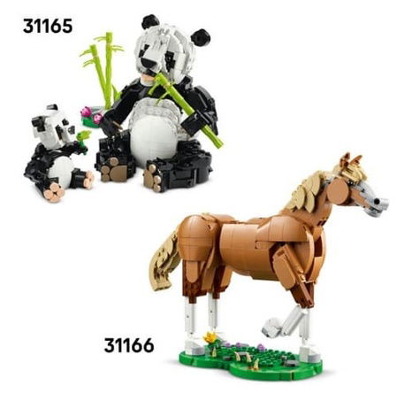 Lego Creator 31173 Divoká zvířata: Tropický tukan