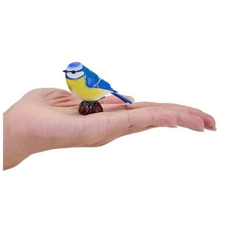 Mojo Sýkora modřinka