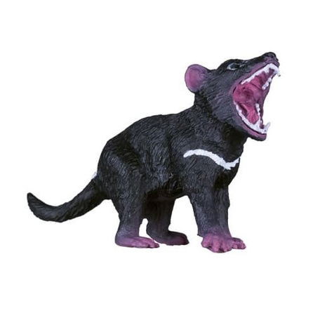 Mojo Tasmánský čert