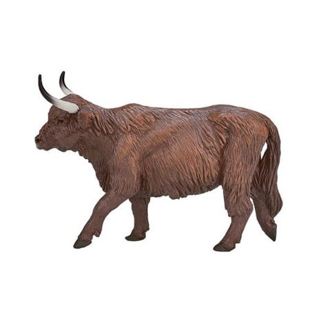 Mojo Skotský náhorní býk