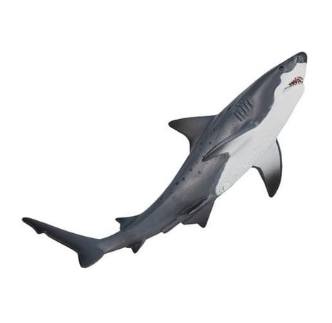 Mojo Žralok bělavý