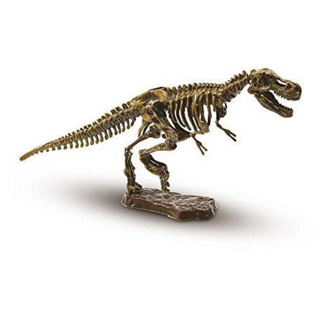 Kostra T-rex