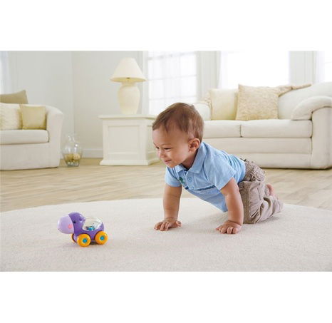 Fisher Price ZVÍŘÁTKA S KULIČKAMI