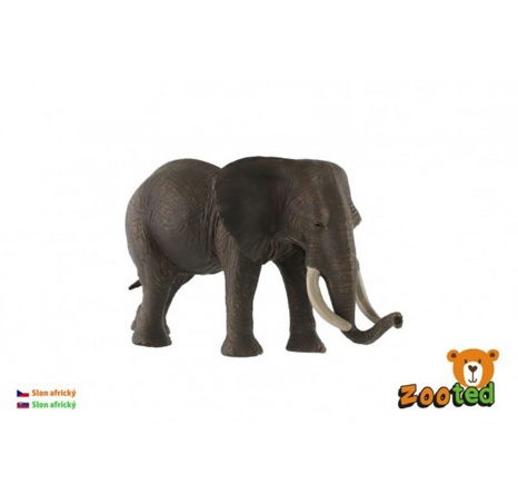 Afrikanischer Zootelefant