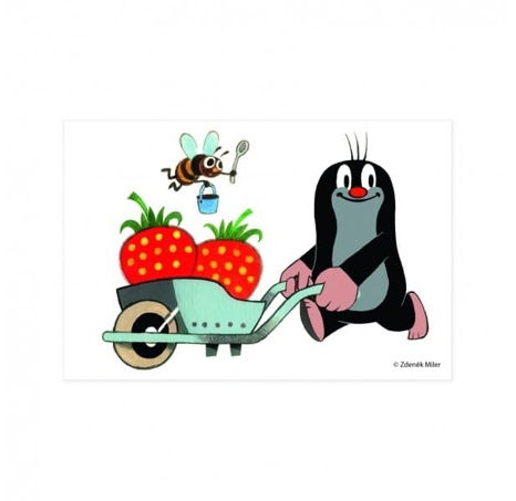 Kostky kubus Krtek dřevo 6ks v krabičce