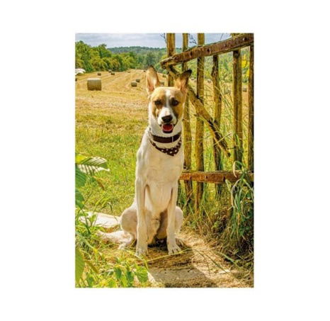 GUMP JSME DVOJKA 300 XL puzzle