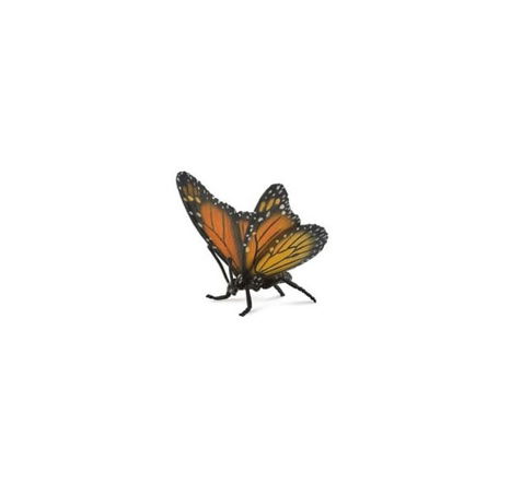 Monarch Monarch wandernd