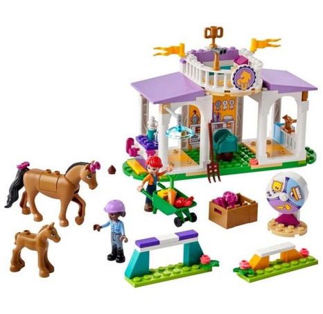 LEGO® Friends 41746 Výcvik koní