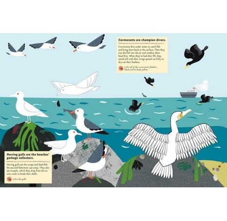 Chronicle Books Kniha aktivit se samolepkami Na Pobřeží