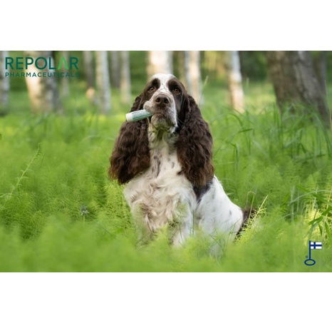 REPOLAR Abilar®VET Pryskyřicová mast na poranění kůže 30ml