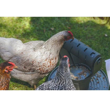 Beeztees Play&Snack Tower Krmítko pro drůbež šedé 30cm