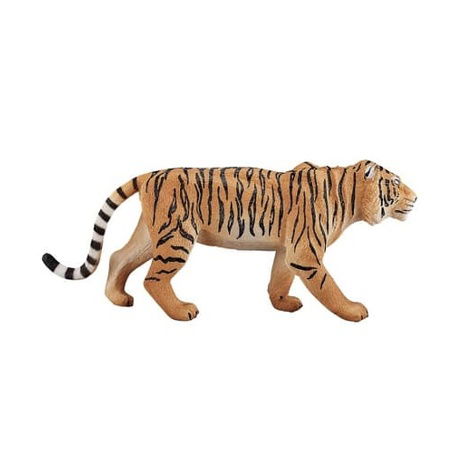 Mojo Tygr bengálský