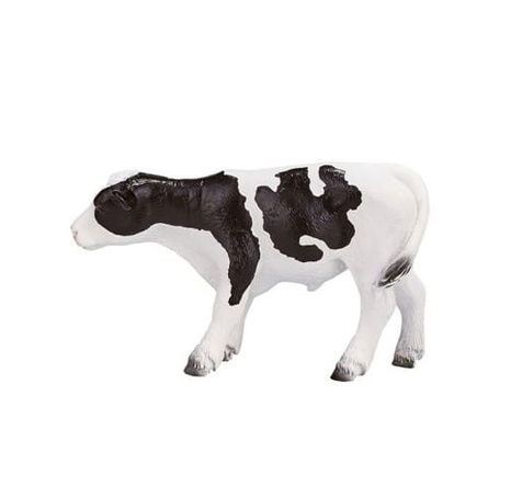 Mojo Holštýnské tele stojící