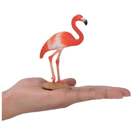 Mojo Plameňák karibský