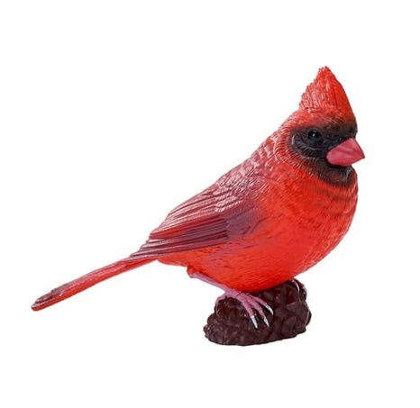 Mojo Kardinál červený