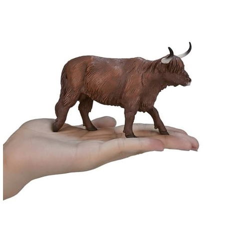 Mojo Skotský náhorní býk